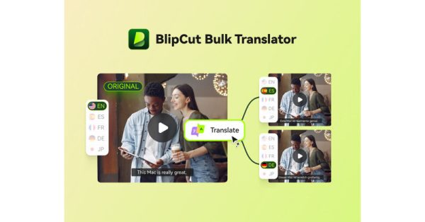 Introducing Batch Video Translation to Boost Efficiency