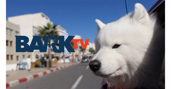 Bark TV Launches National Multiplatform Distribution Network to Reach Dog Lovers Nationwide