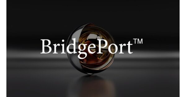 BridgePort Partners With NewEdge Wealth to Deliver Bespoke Private Market Solutions
